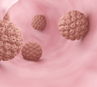 Žmogaus papilomos virusas