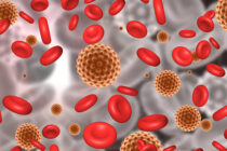 A grupės streptokokinės infekcijos