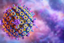 Lytinių organų pūslelinė