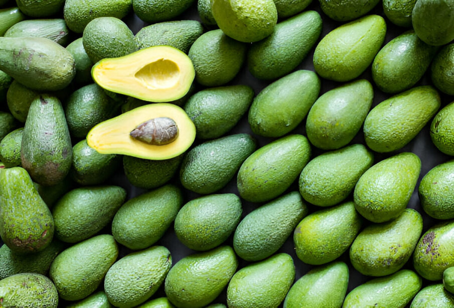 avokadas kcal