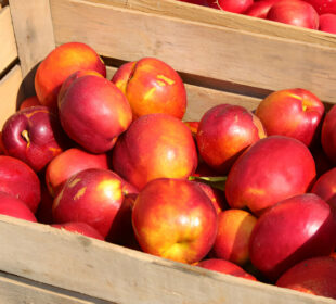 Nektarino kalorijų skaičius