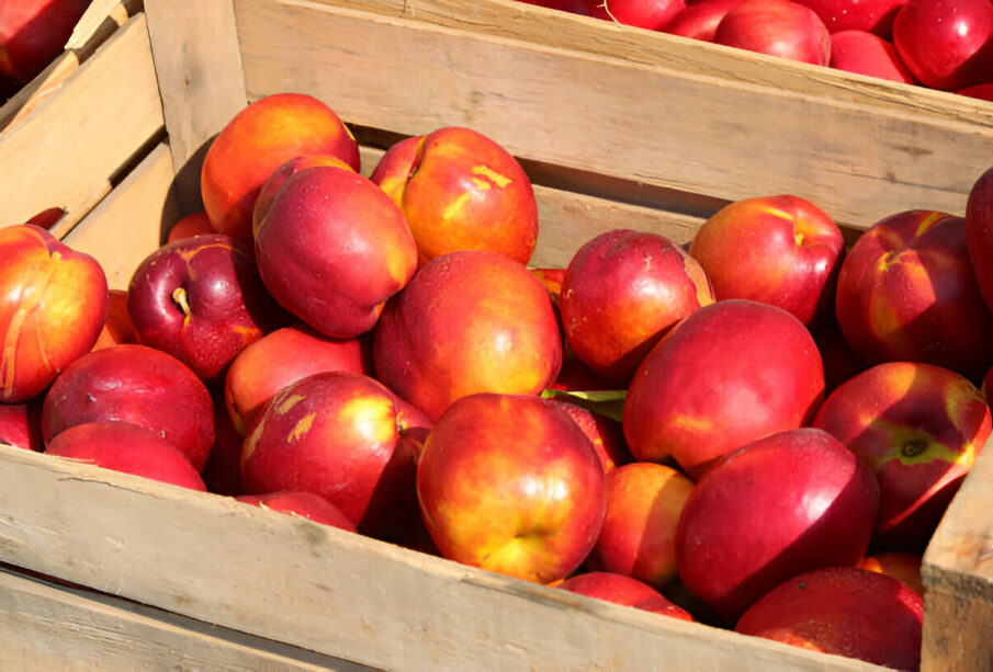 Nektarino kalorijų skaičius